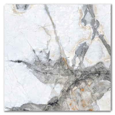 Royal Invisible Marble Effect Polished Porcelain Tile 60x60 RTC